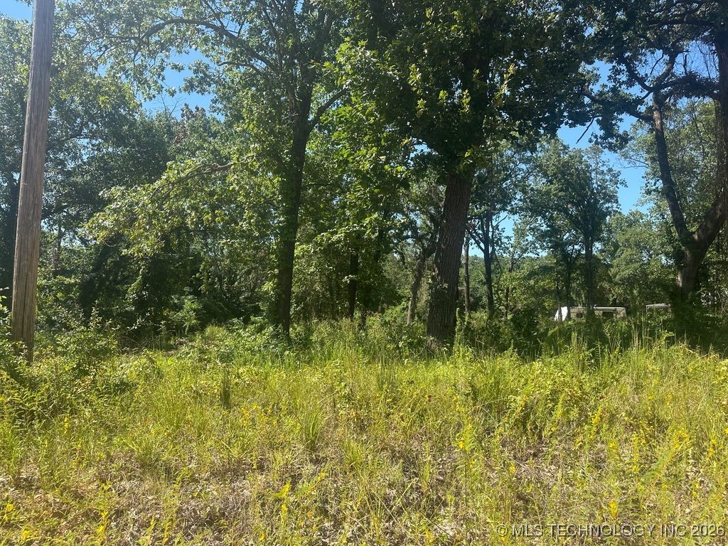 0 Driftwood Road Property Photo 1