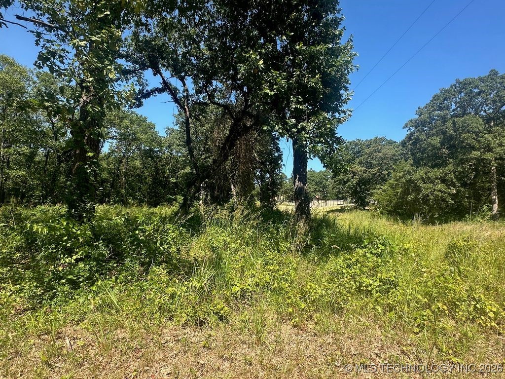 0 Driftwood Road Property Photo 2