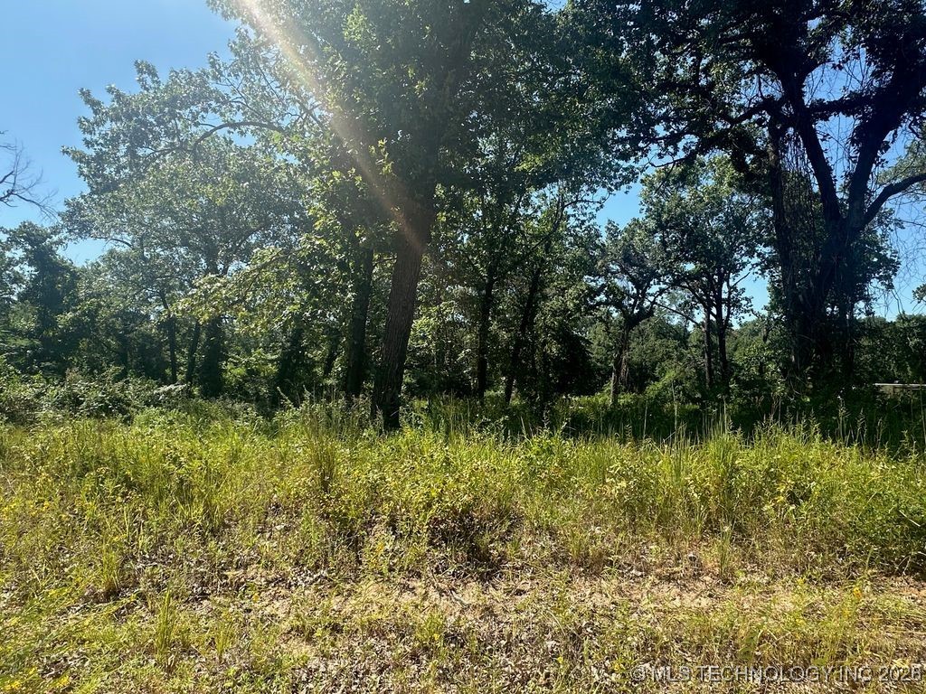 0 Driftwood Road Property Photo 3