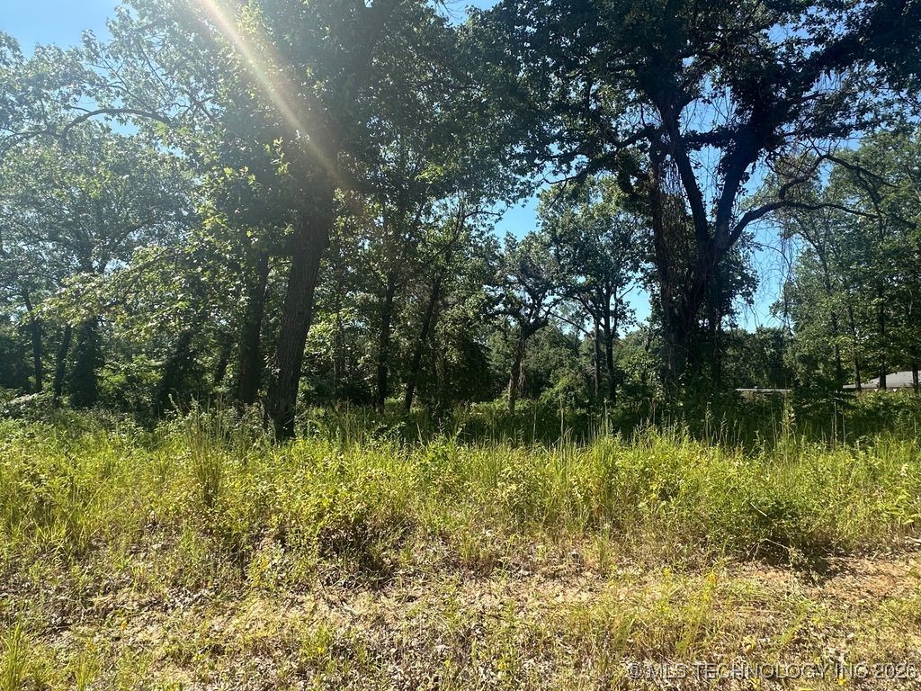 0 Driftwood Road Property Photo 4