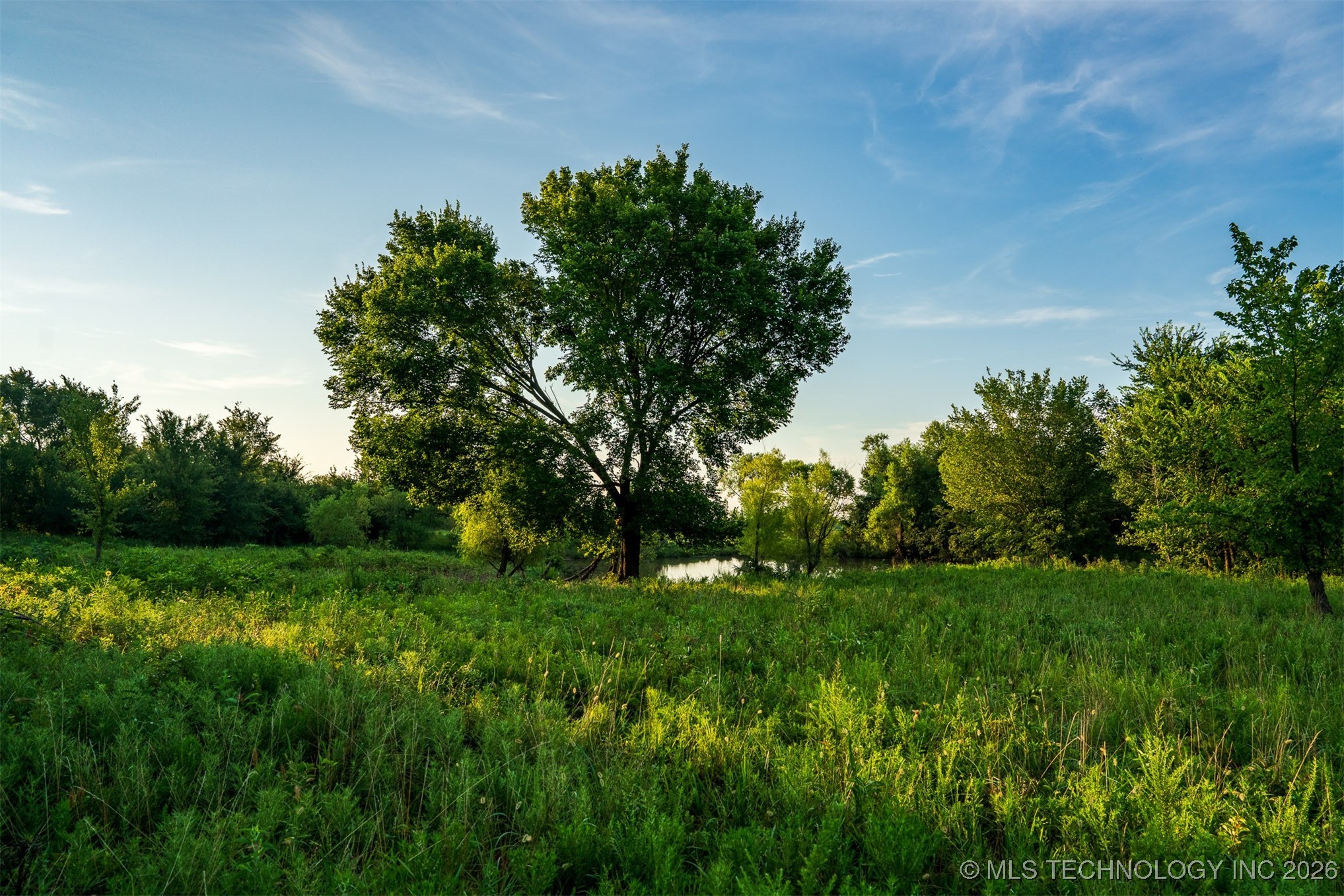 3 Hwy 16 Property Photo 14