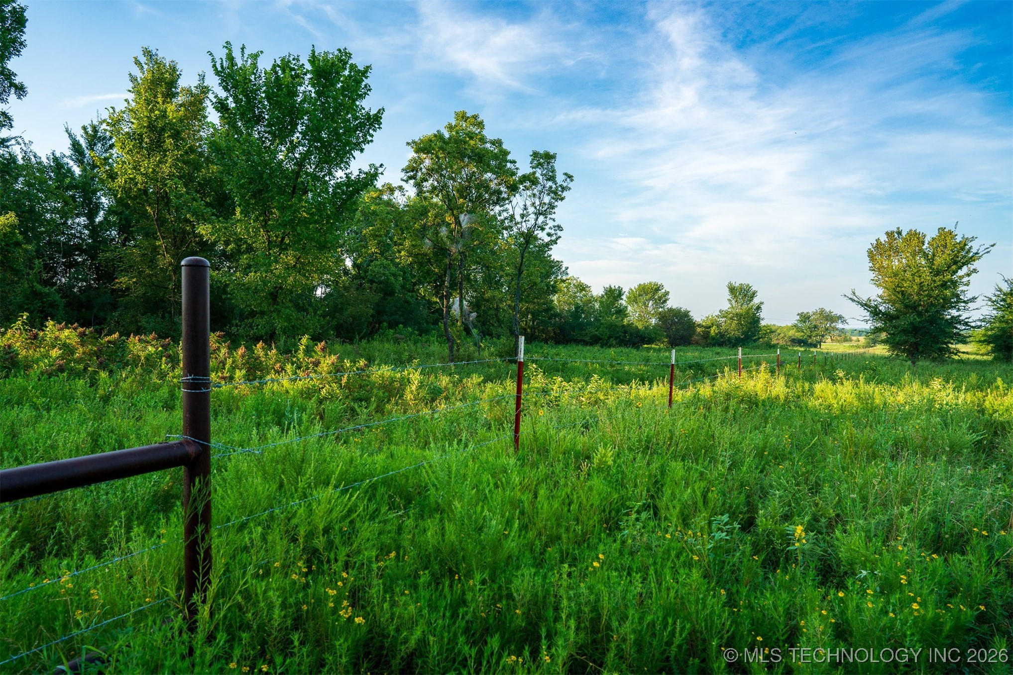 3 Hwy 16 Property Photo 16