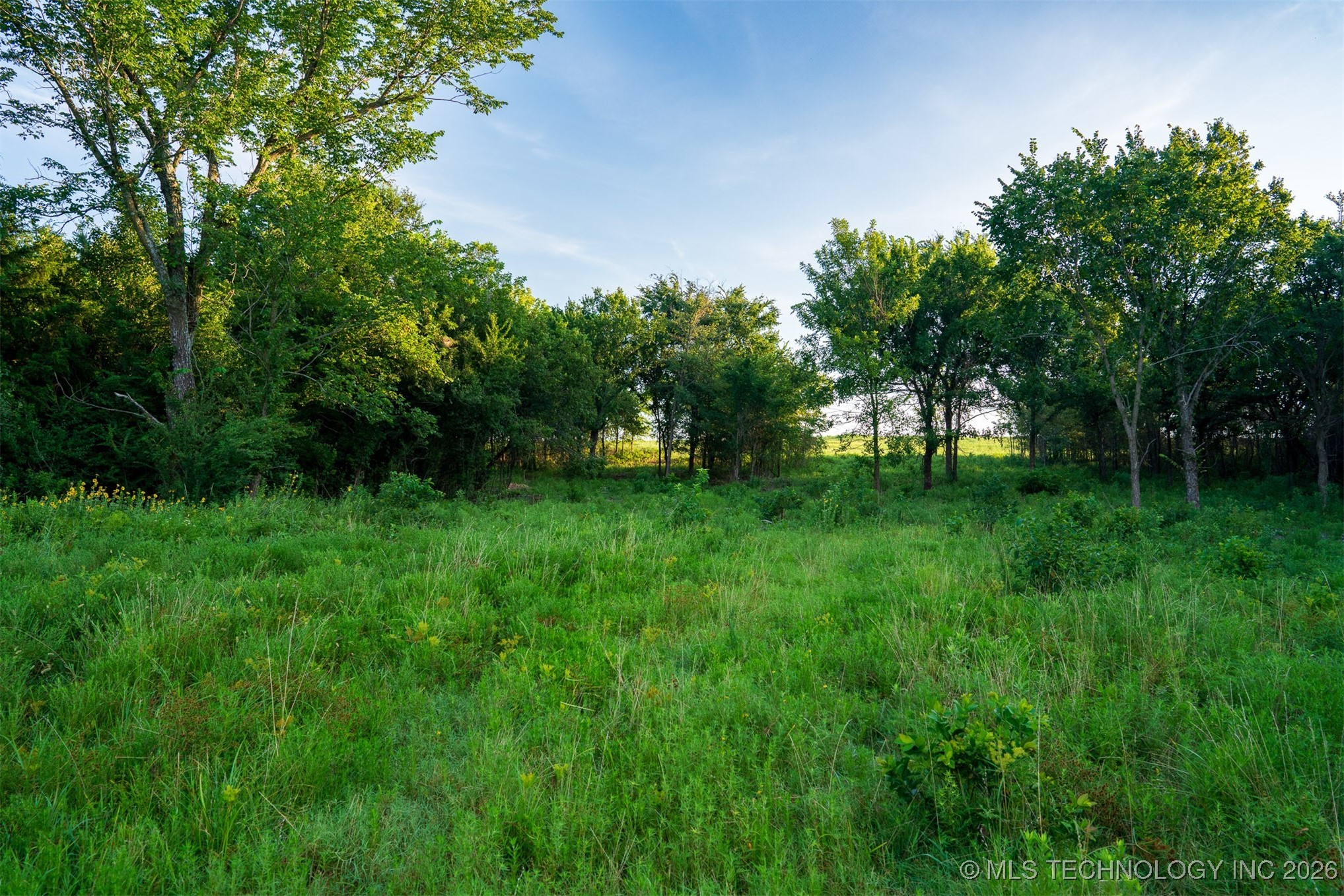 3 Hwy 16 Property Photo 24