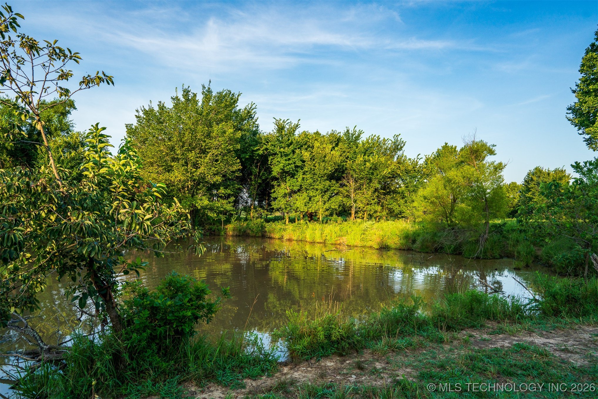 3 Hwy 16 Property Photo 31