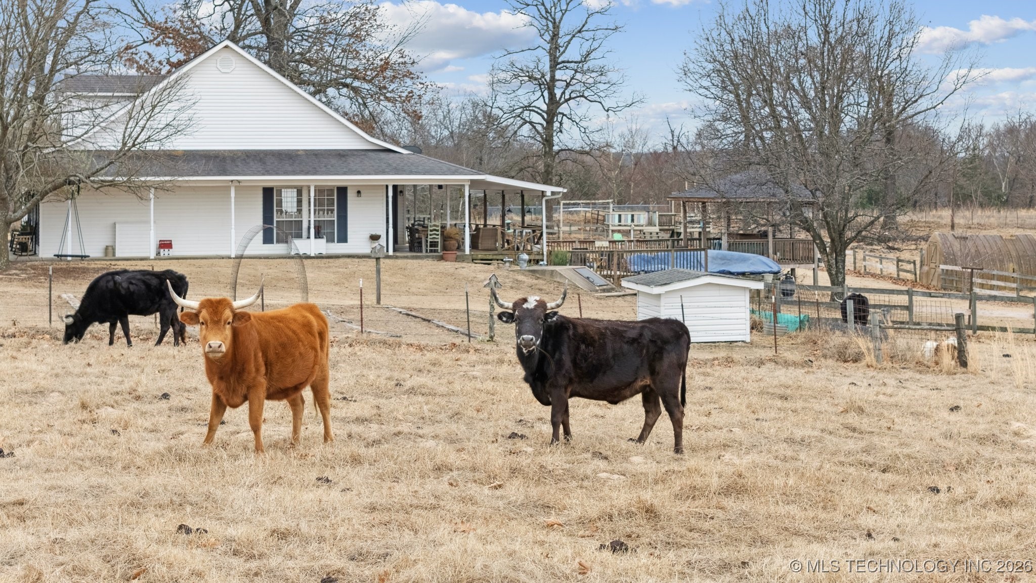 222 Brewster Road Property Photo 50