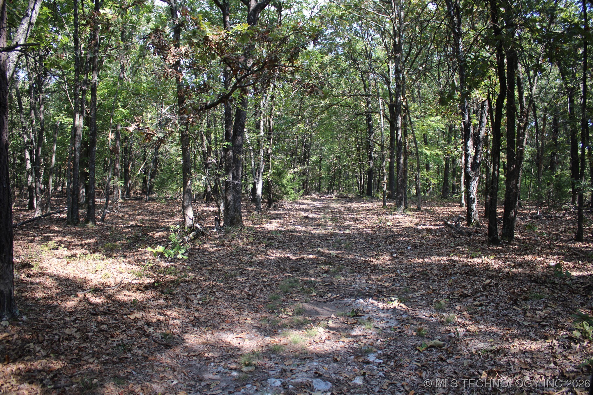 57298 S 608 Road Property Photo 20