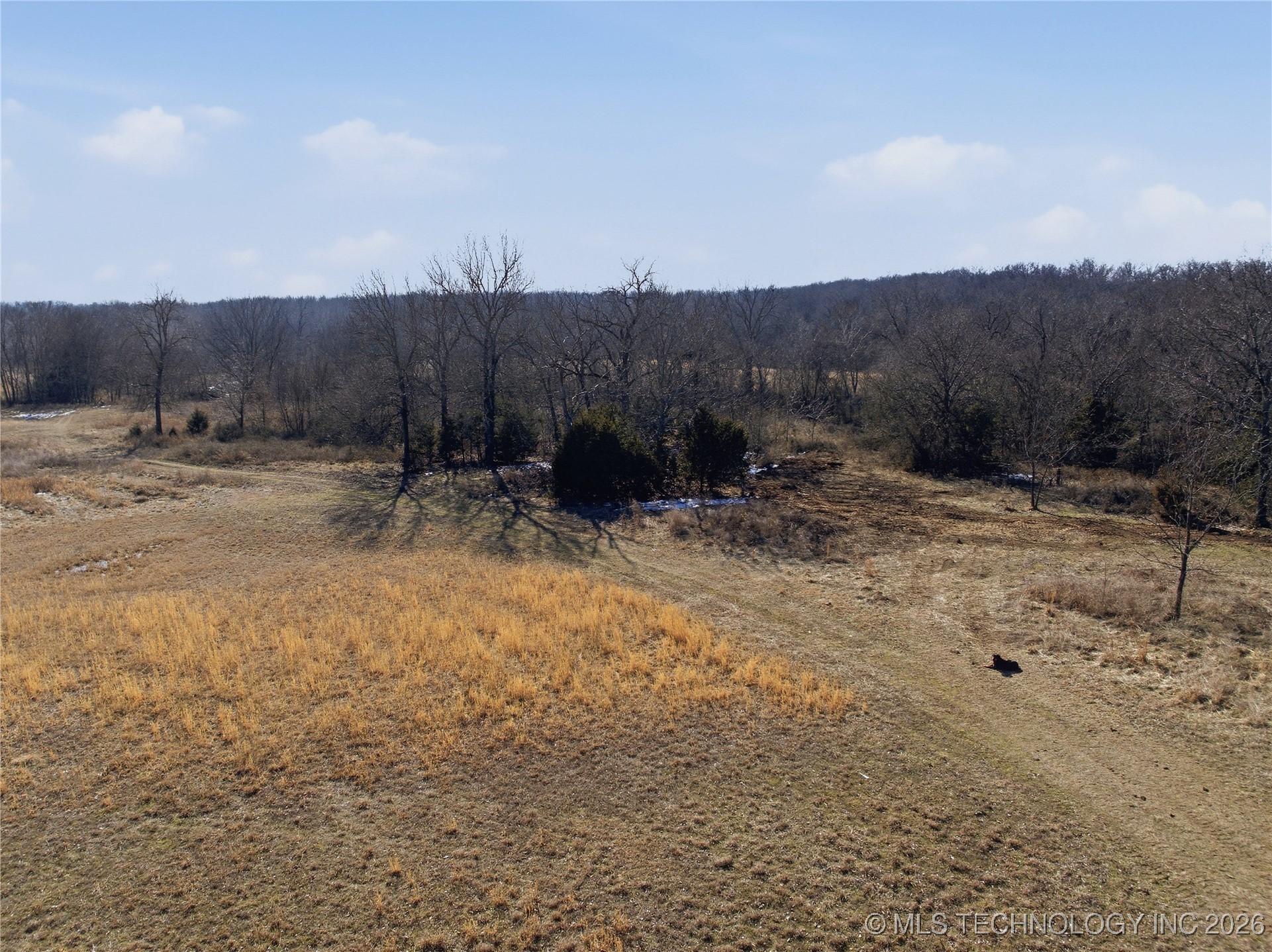 N 7 Mile Road Property Photo 14