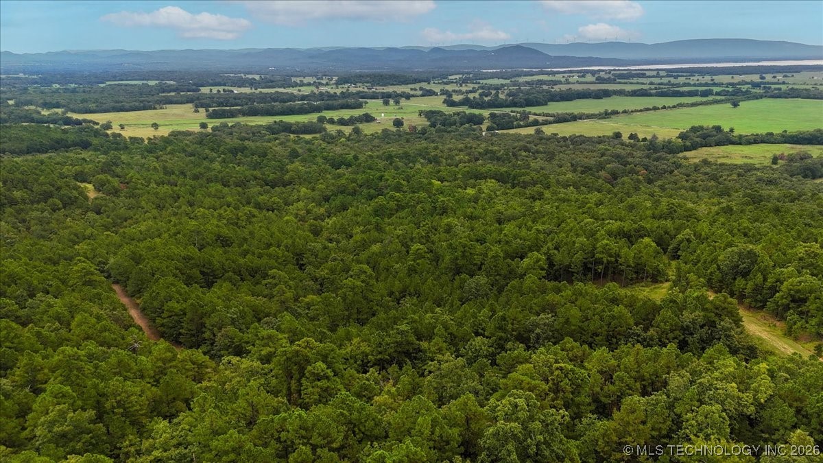 1025 Property Photo 4