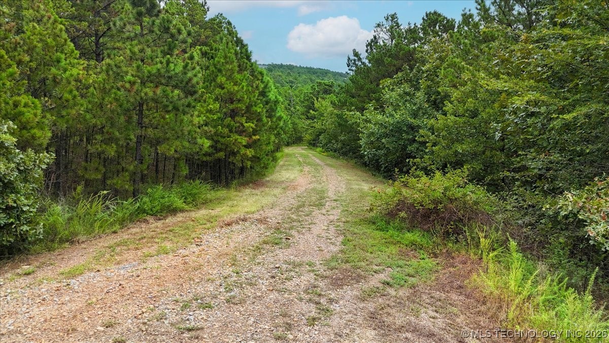 1025 Property Photo 3