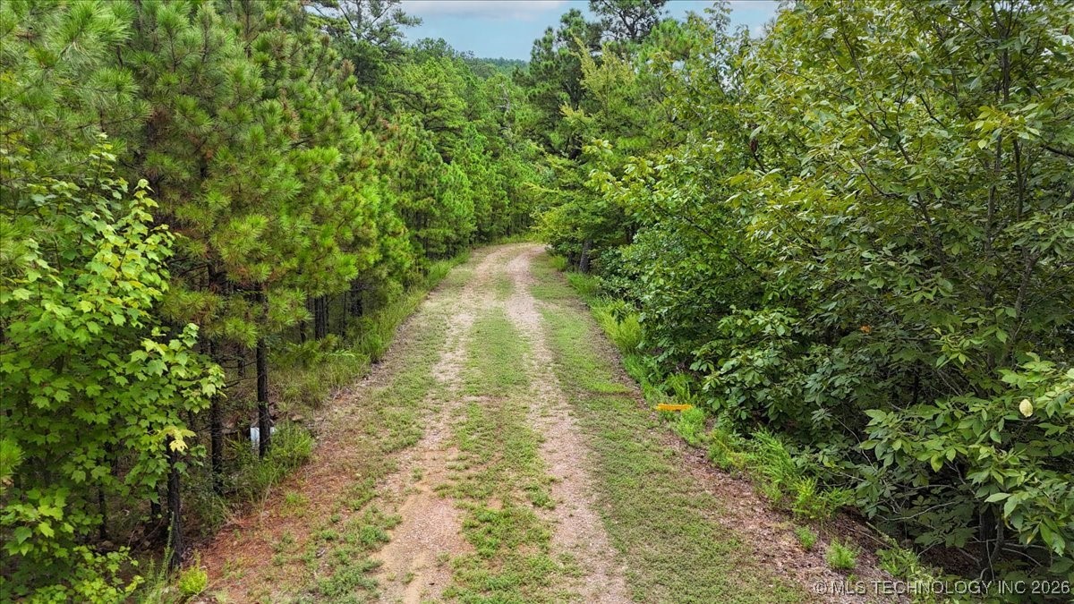 1025 Property Photo 4