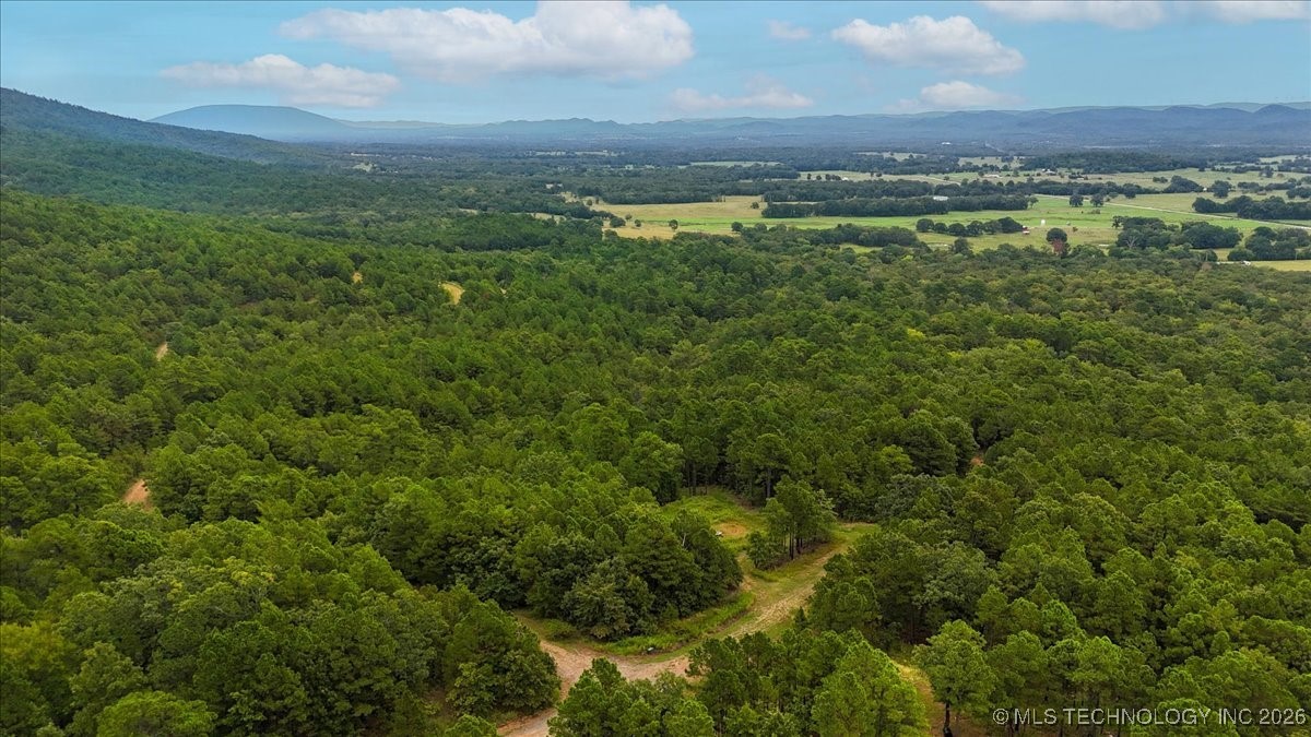 1025 Property Photo 5