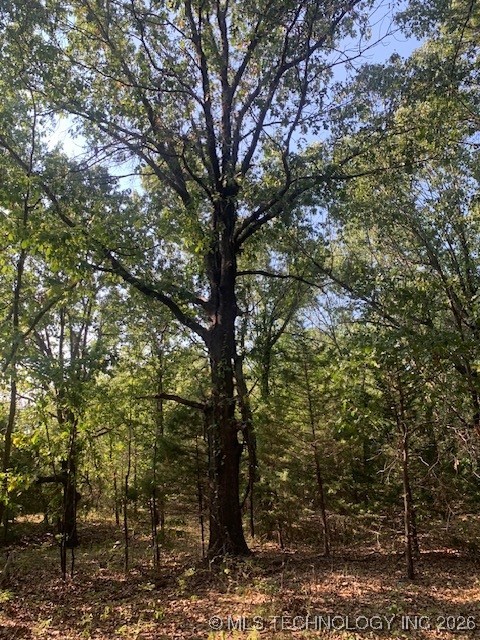 6 Eagle Ridge Road Property Photo 12