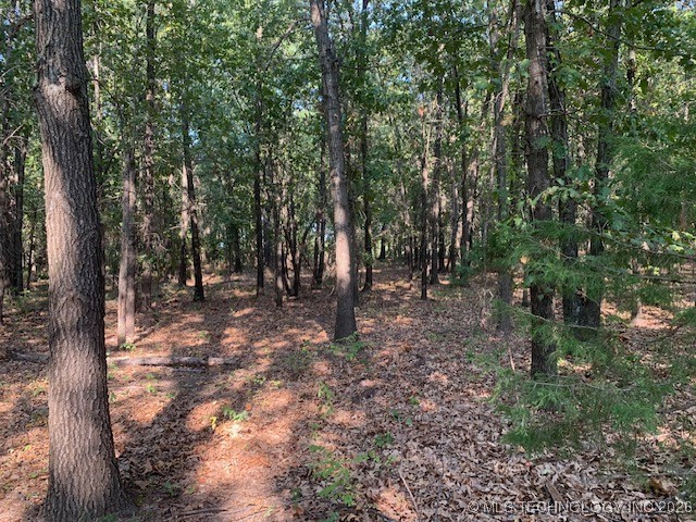 6 Eagle Ridge Road Property Photo 13