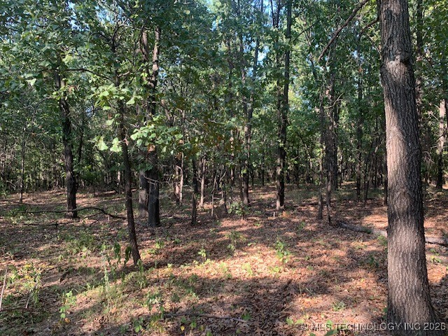 6 Eagle Ridge Road Property Photo 14