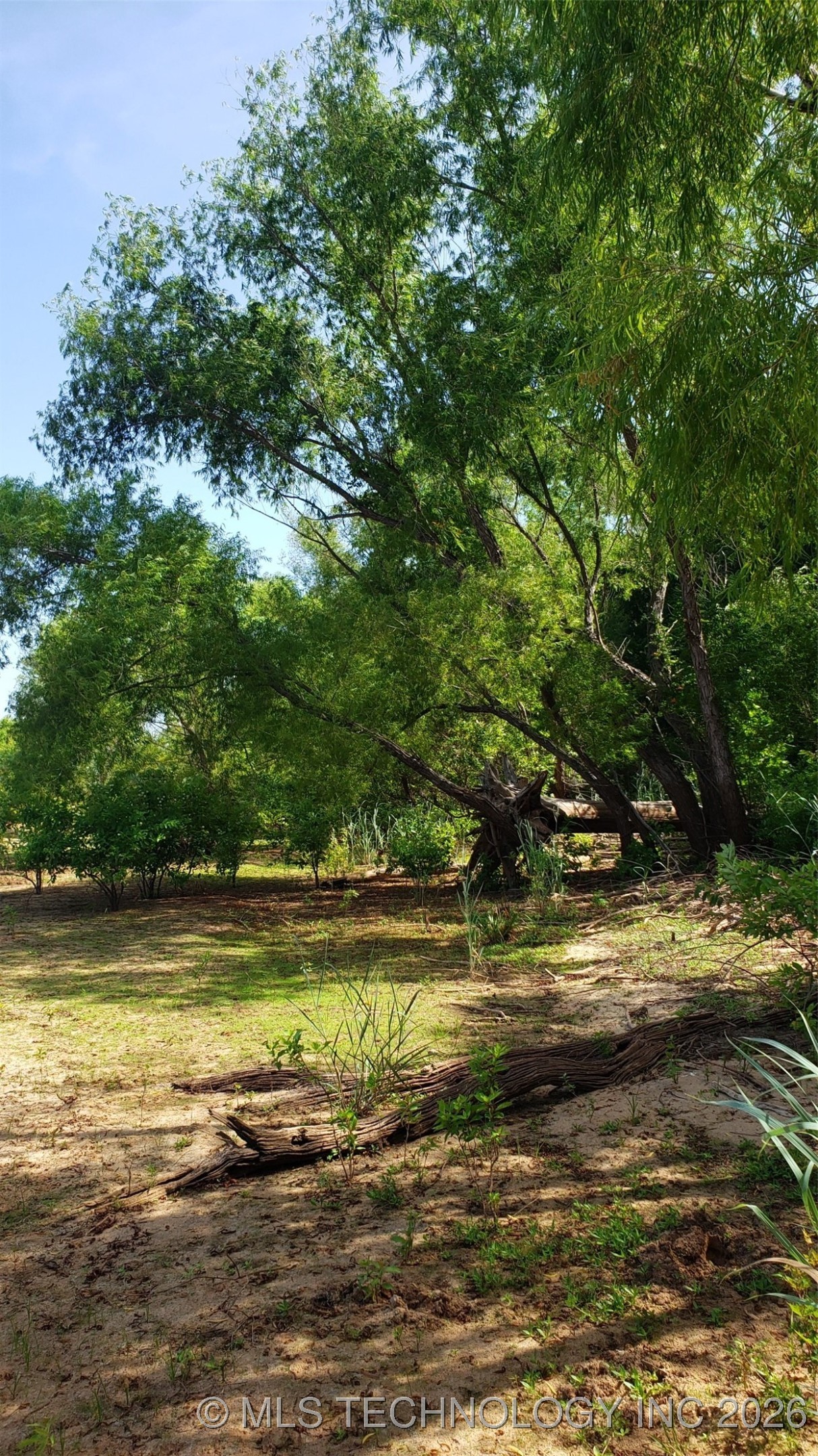 1679 Augustus Road Property Photo 8