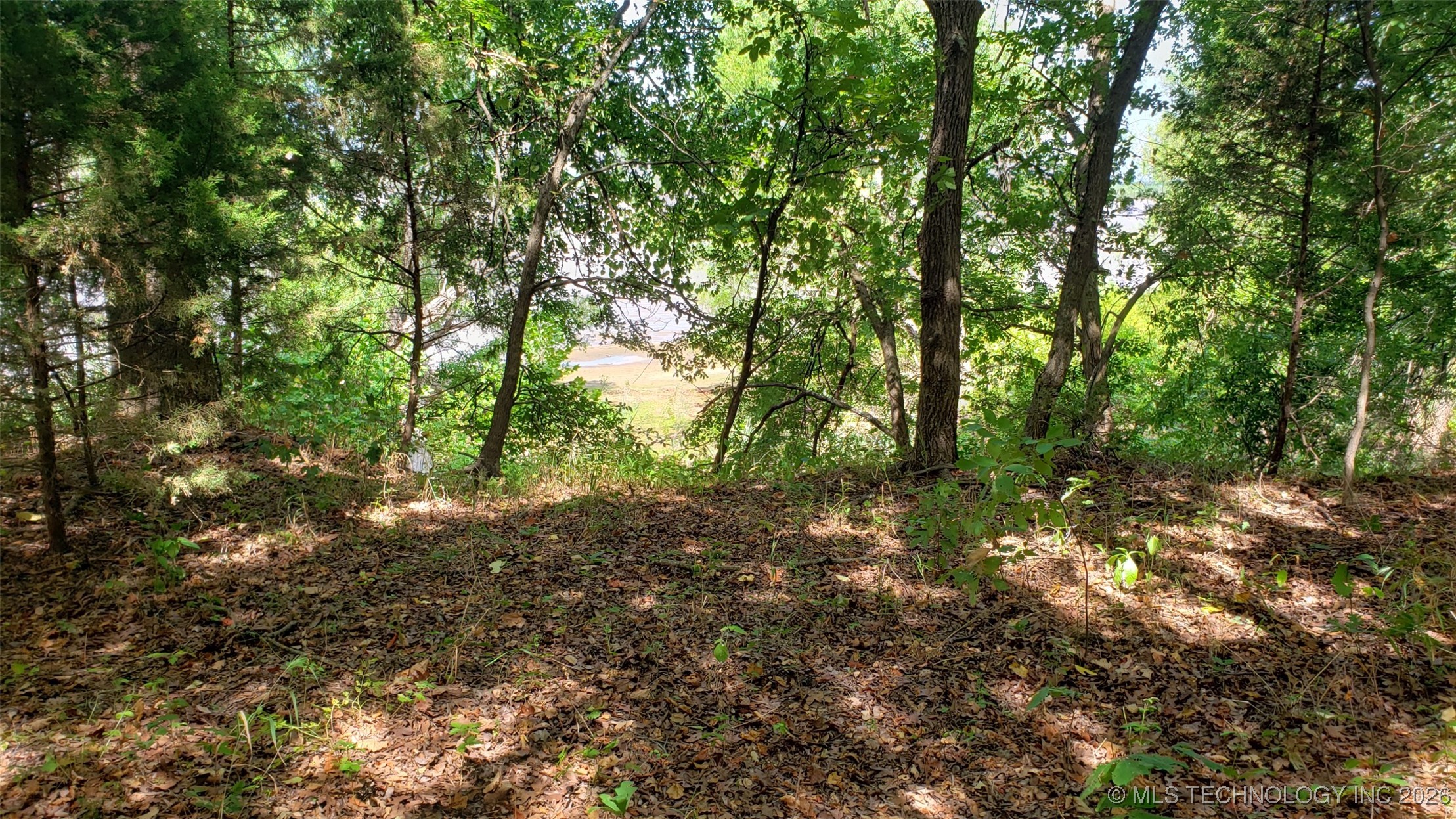 1679 Augustus Road Property Photo 14