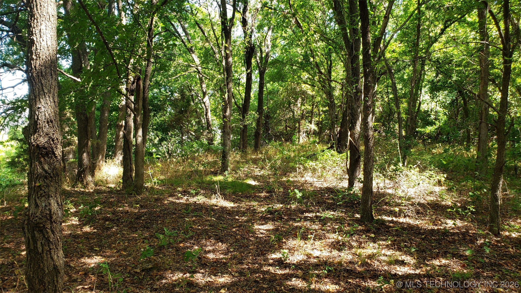 1679 Augustus Road Property Photo 15