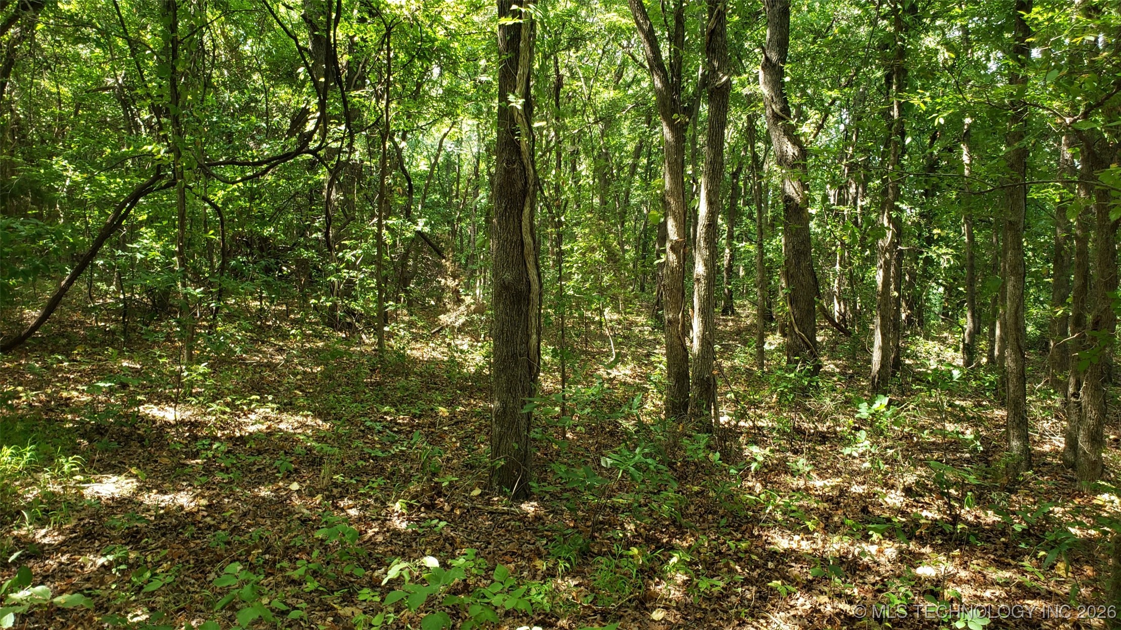 1679 Augustus Road Property Photo 16