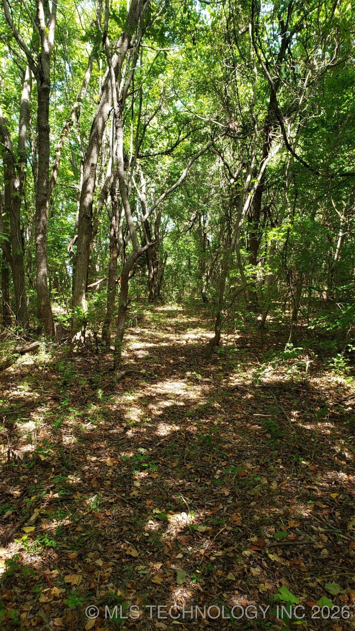 1679 Augustus Road Property Photo 17