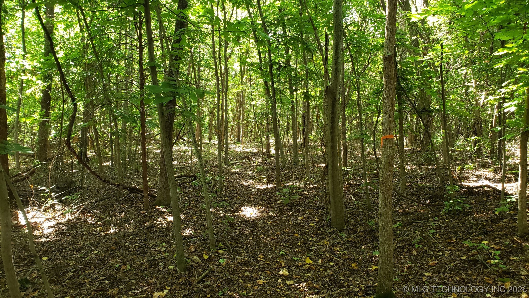 1679 Augustus Road Property Photo 18