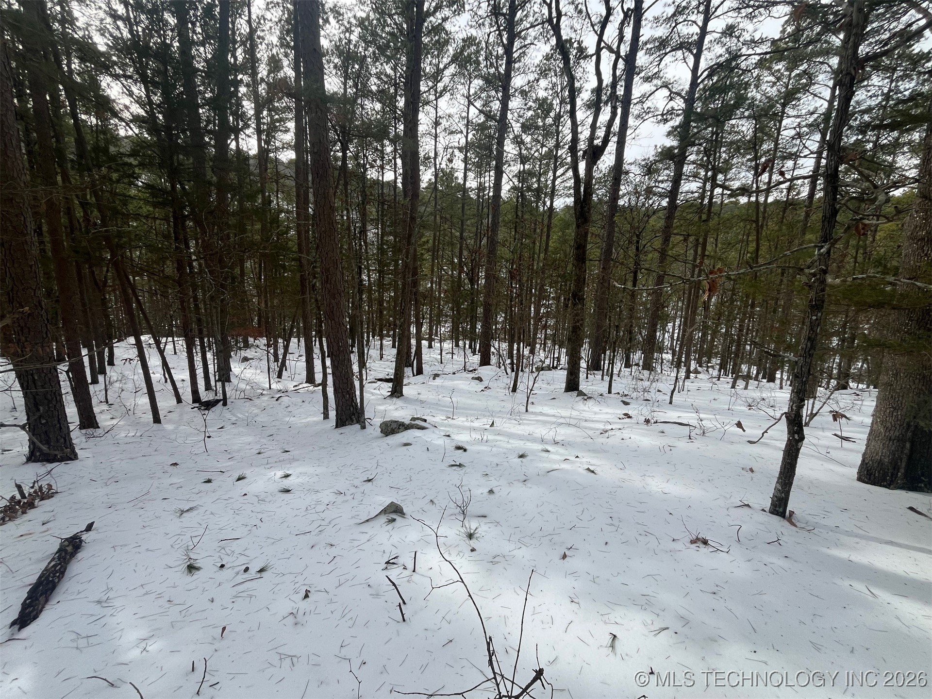 34 Tram Trail Property Photo 8