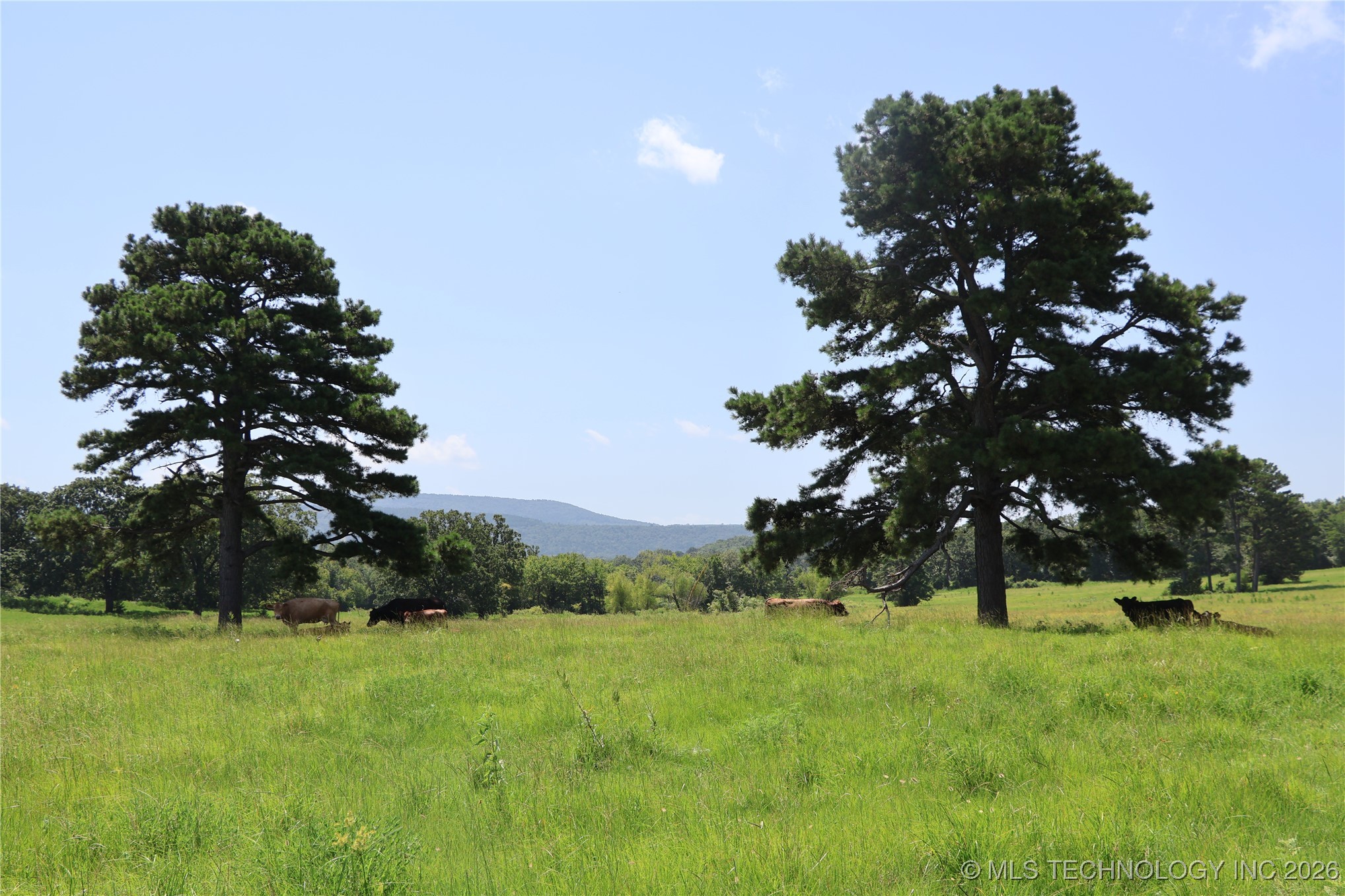 37280 Morris Creek Property Photo 23