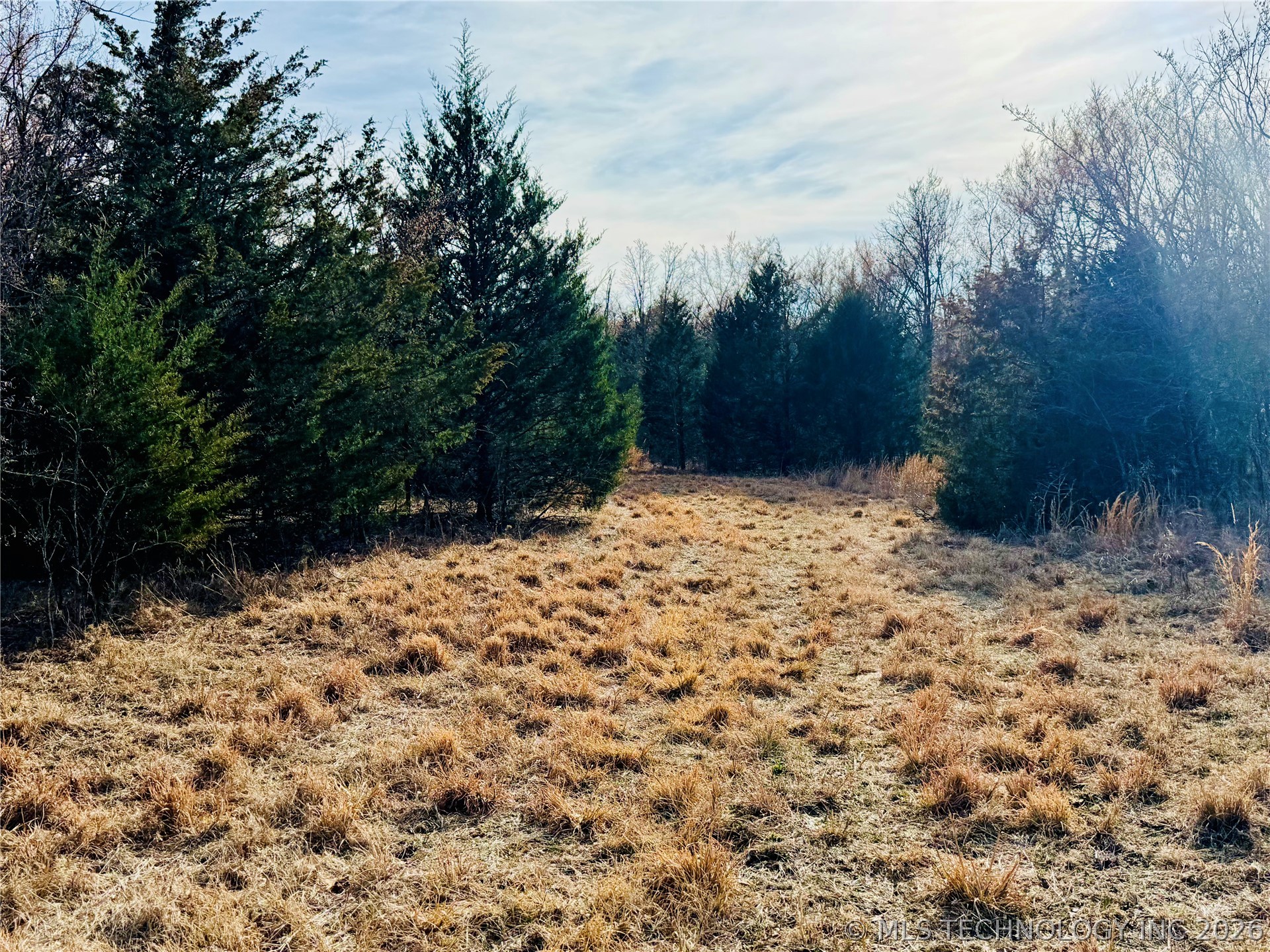 County Road 3660 Property Photo 1