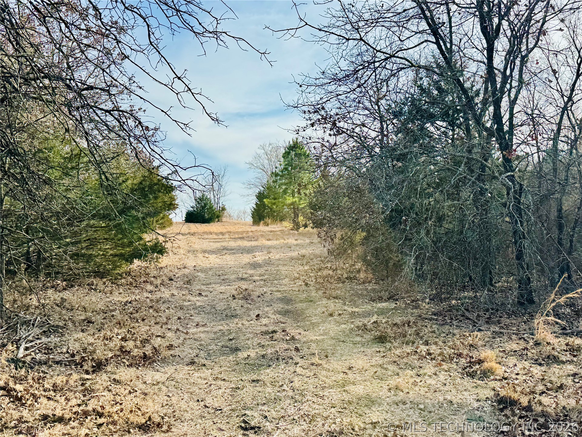 County Road 3660 Property Photo 3