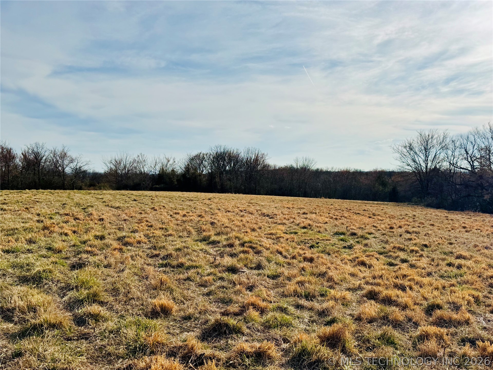 County Road 3660 Property Photo 4