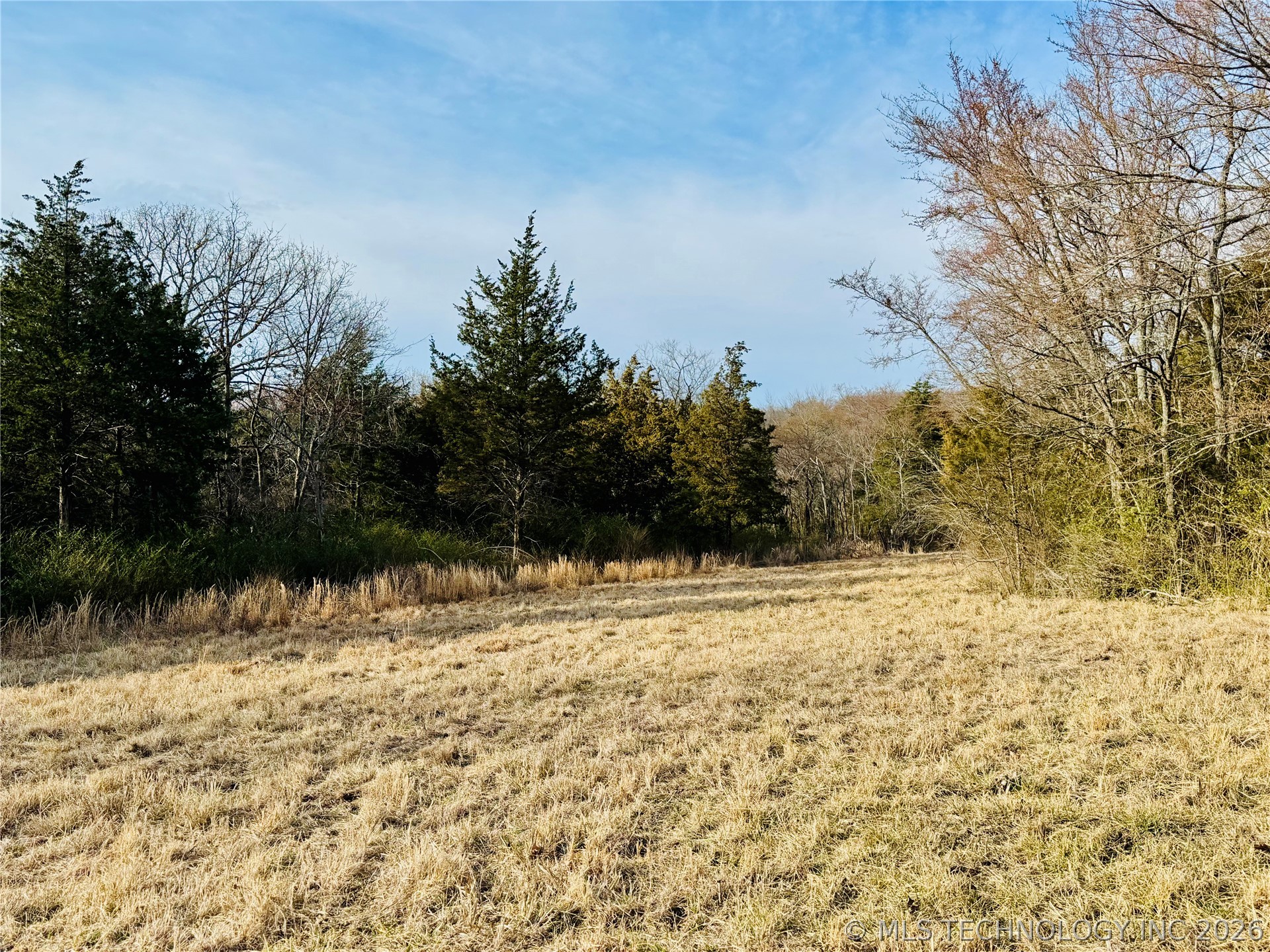 County Road 3660 Property Photo 9