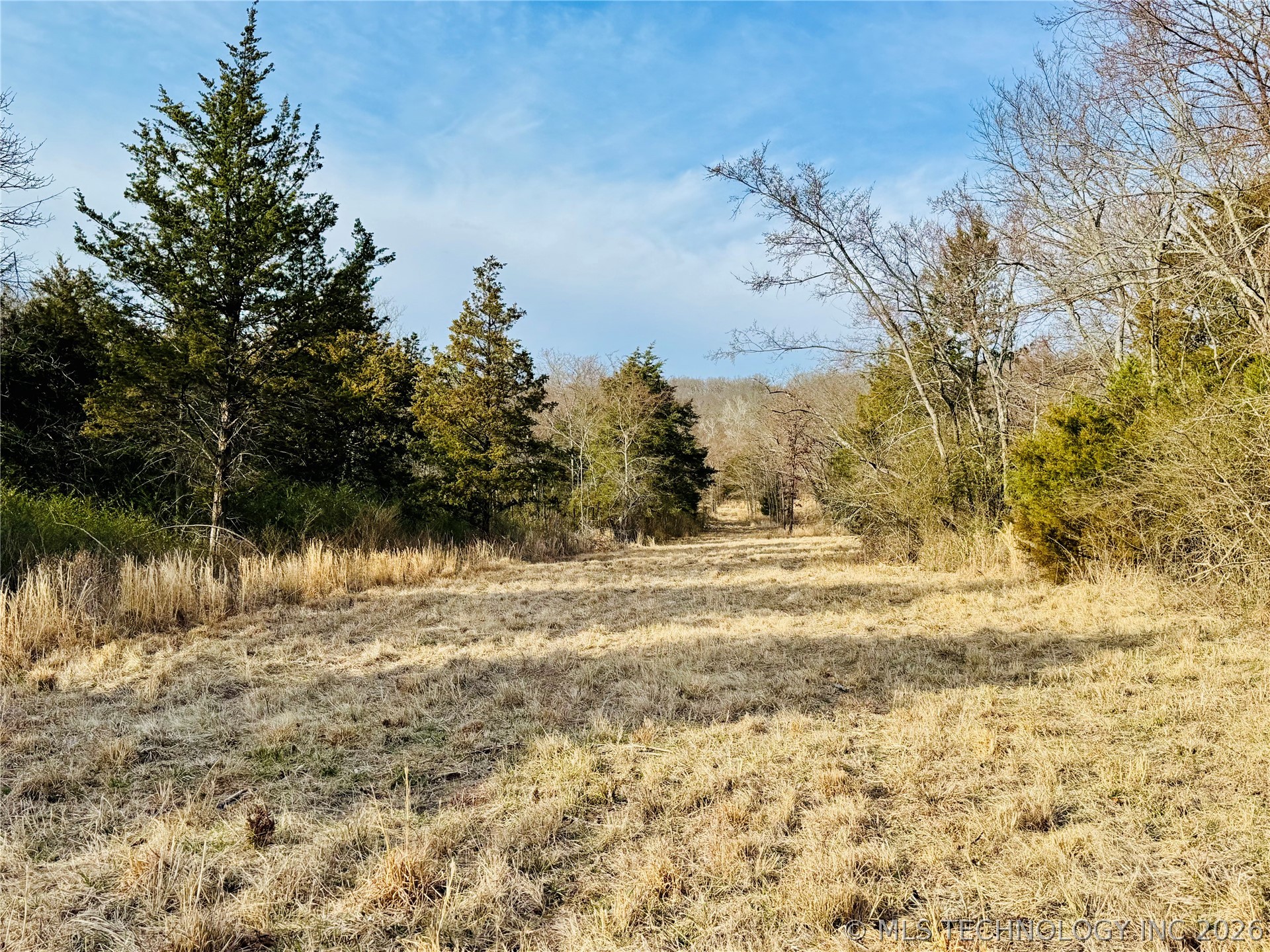 County Road 3660 Property Photo 10