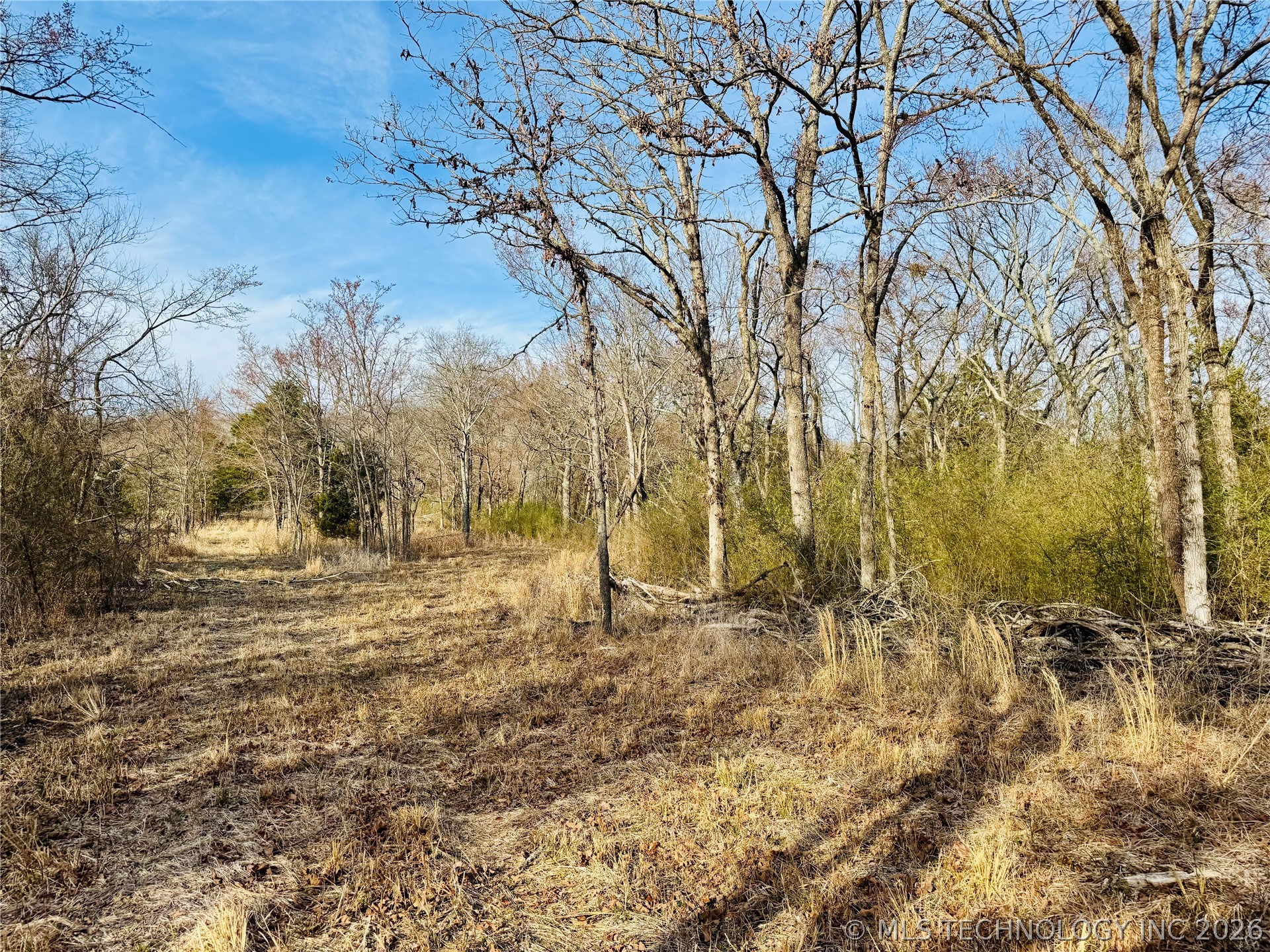 County Road 3660 Property Photo 11