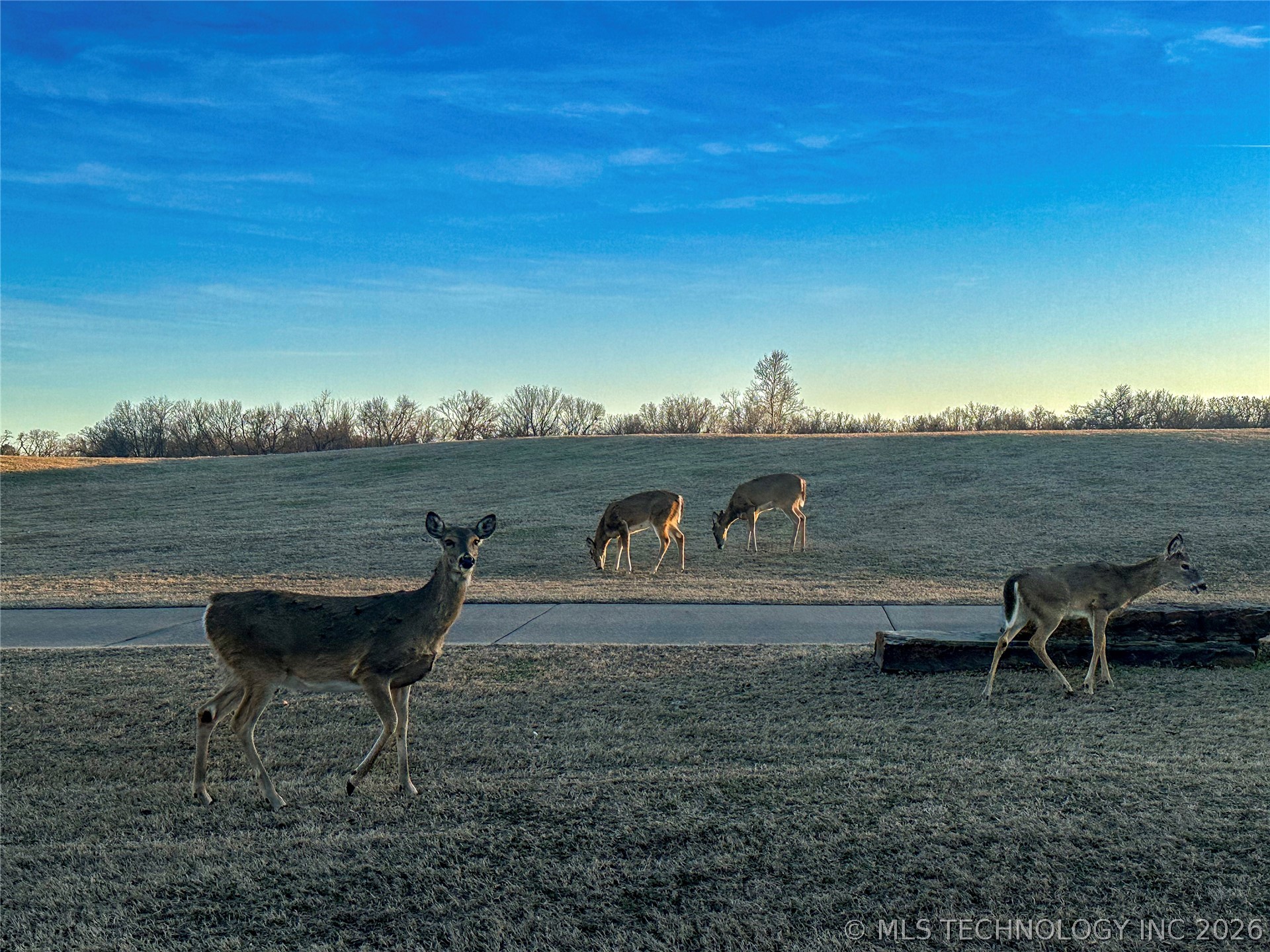 451403 Pheasant Circle Property Photo 21