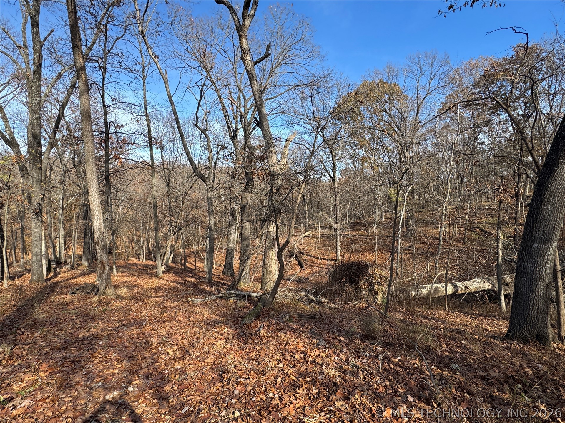 451403 Pheasant Circle Property Photo 38