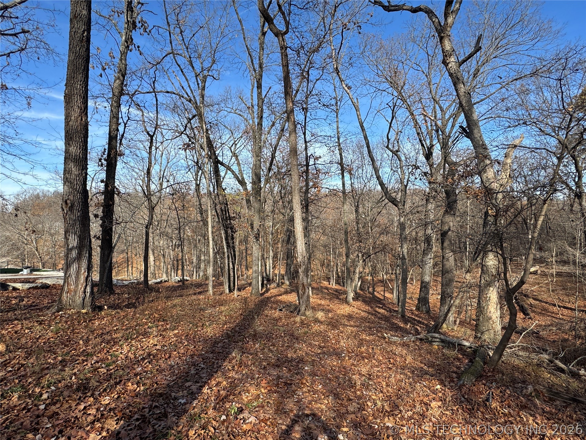 451403 Pheasant Circle Property Photo 39