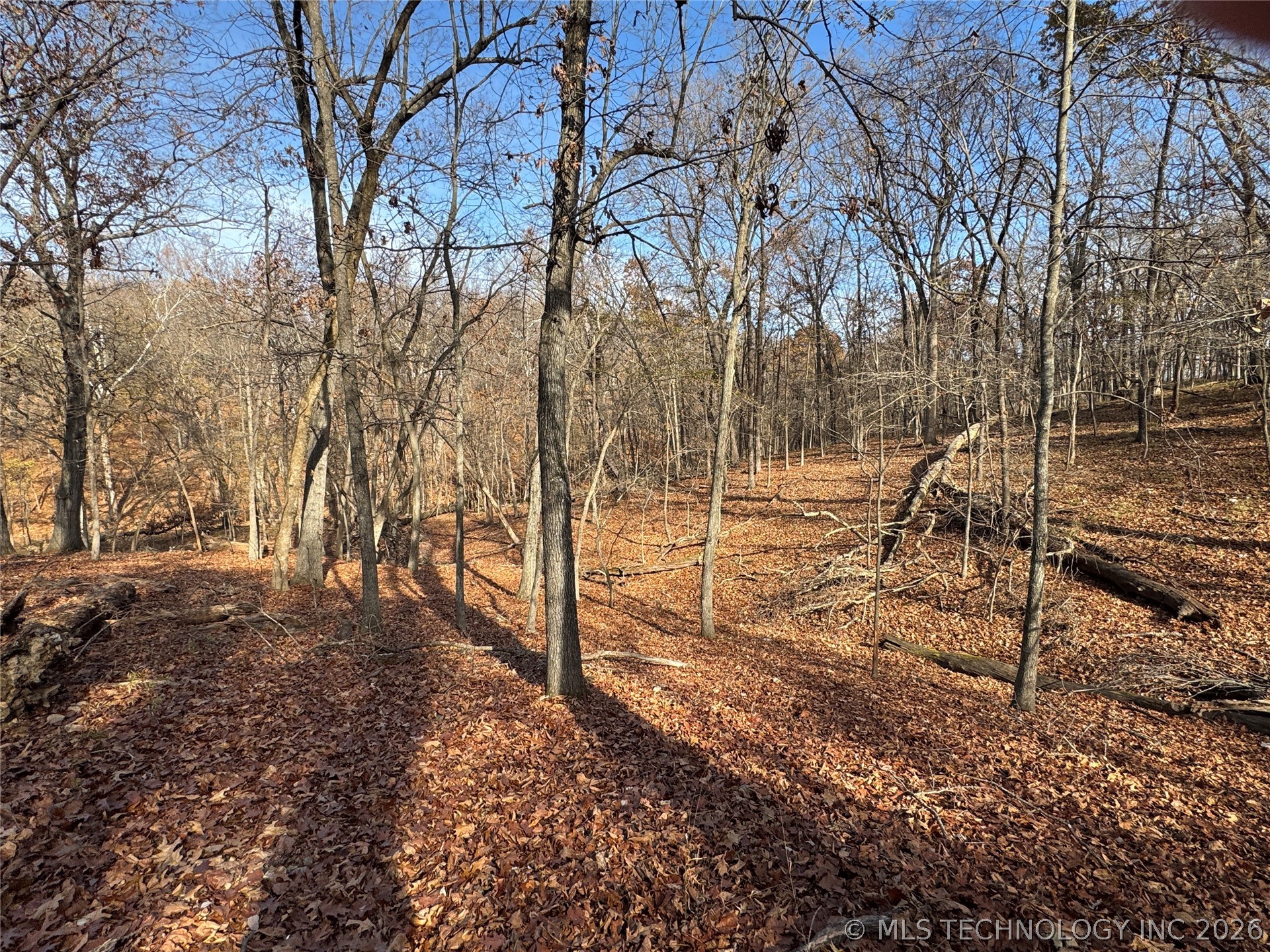 451403 Pheasant Circle Property Photo 40