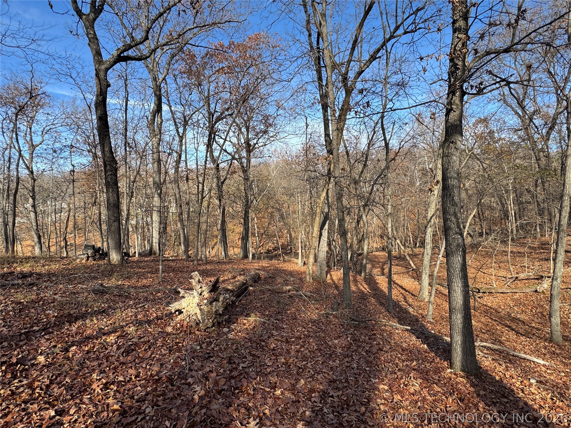 451403 Pheasant Circle Property Photo 41