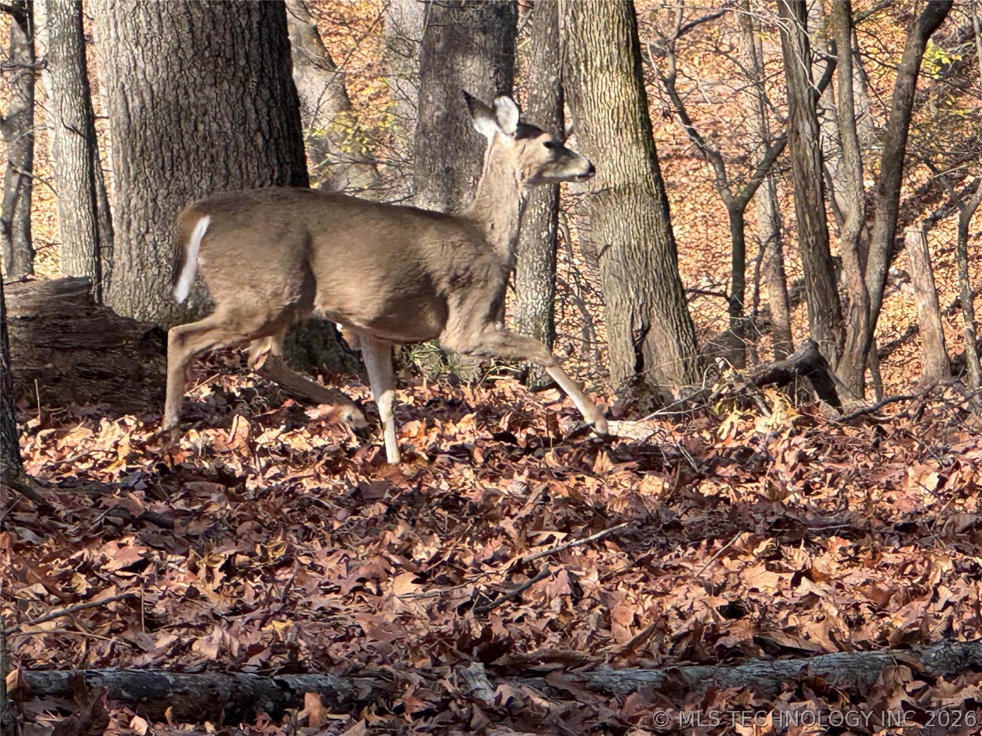 451403 Pheasant Circle Property Photo 42