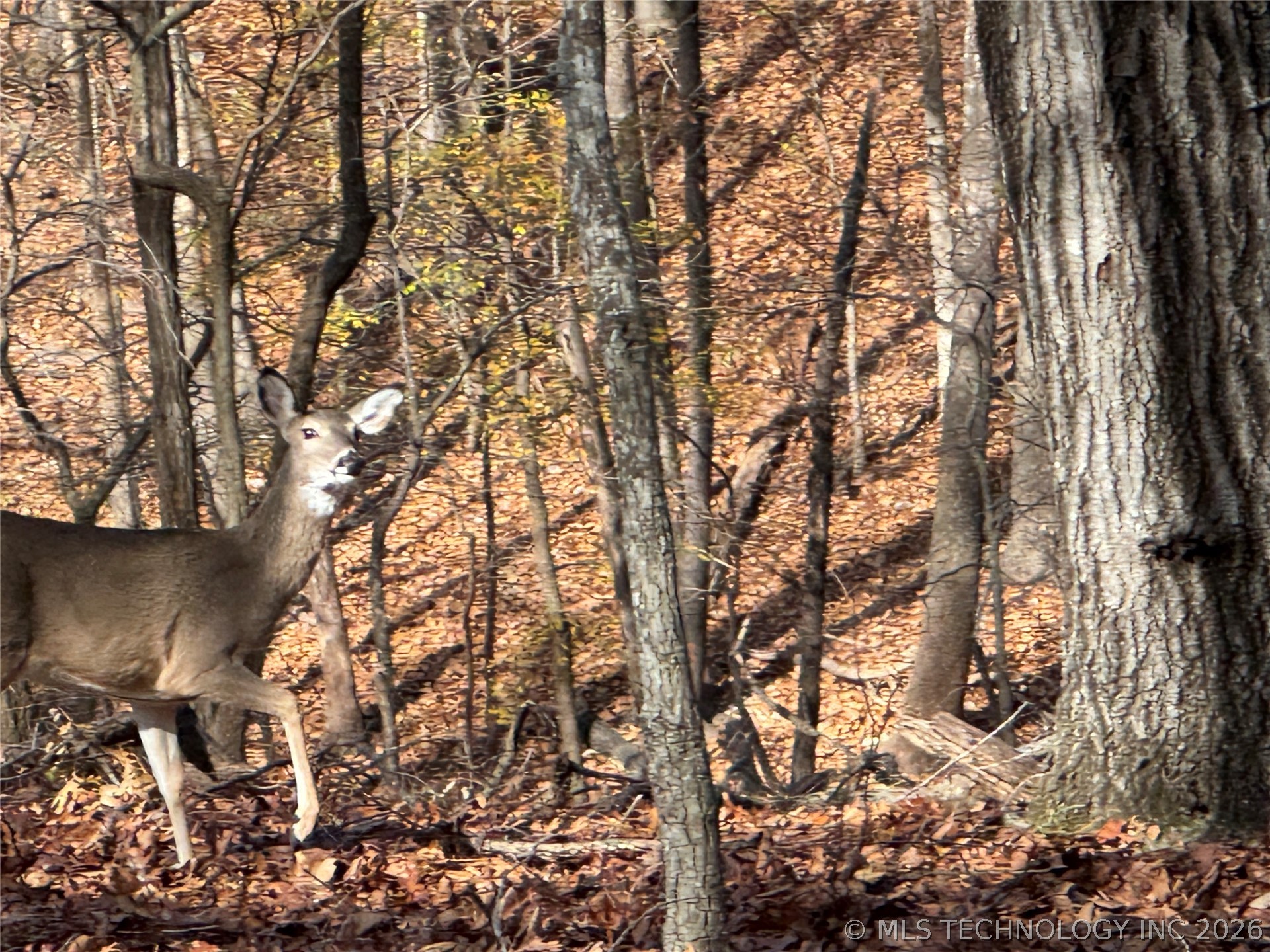 451403 Pheasant Circle Property Photo 43