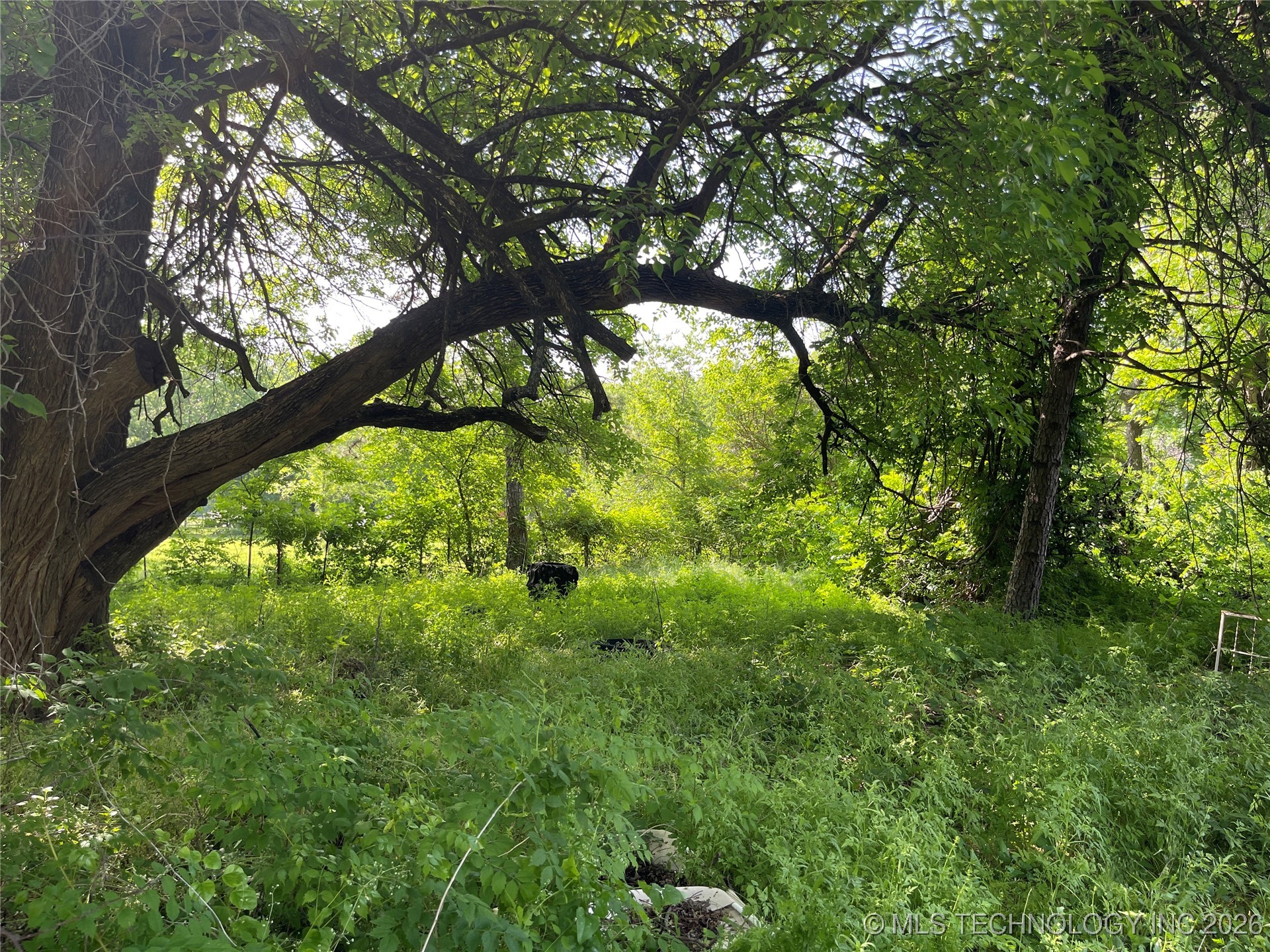 68 Ivy Lane Property Photo 1