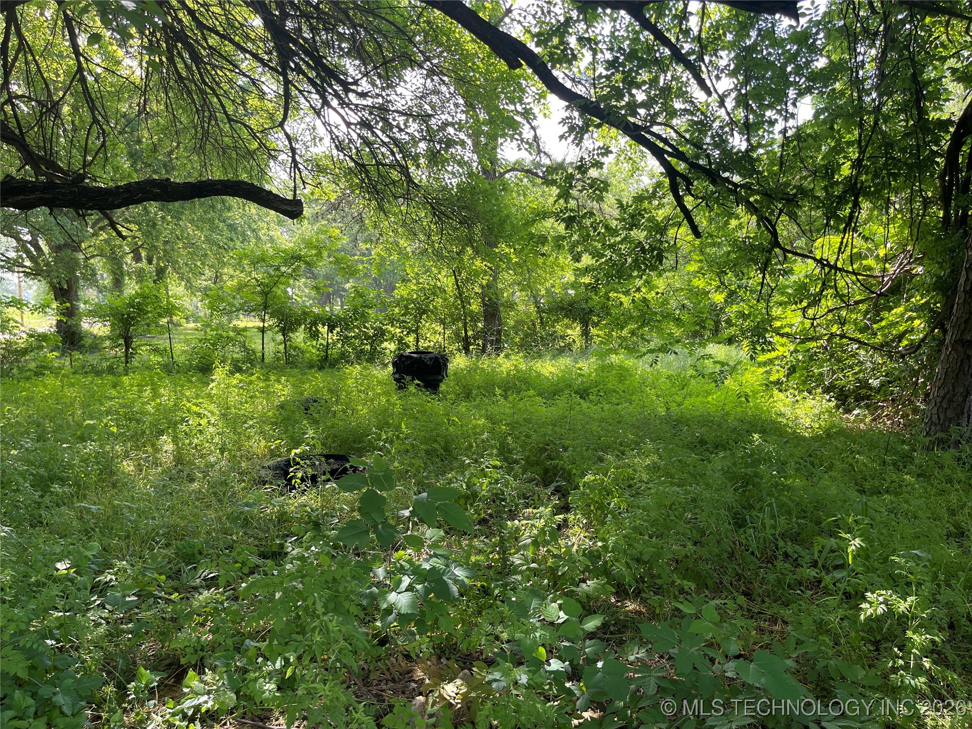 68 Ivy Lane Property Photo 3