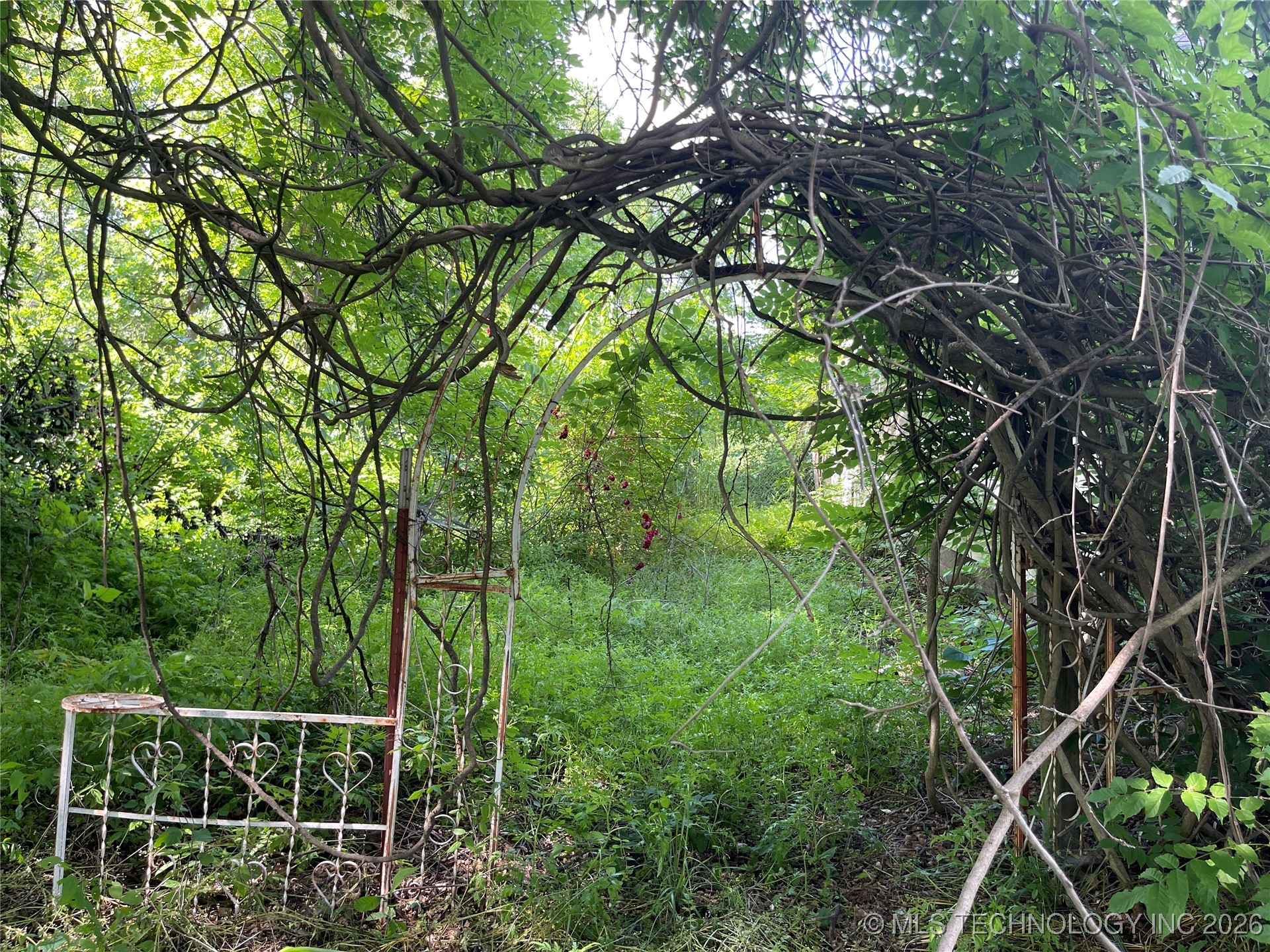 68 Ivy Lane Property Photo 4