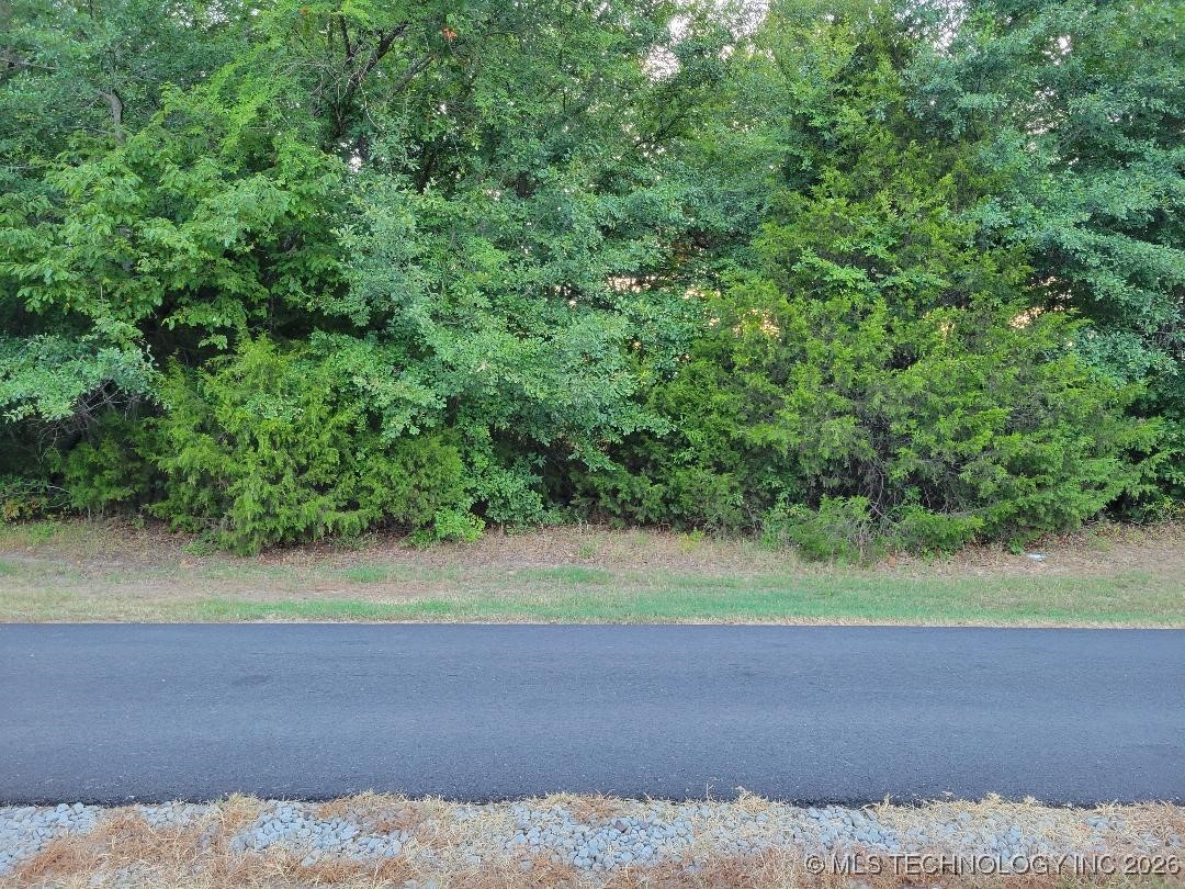 Hummingbird Lane Property Photo 3