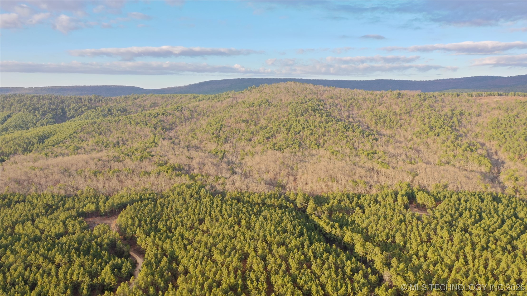 Marsh Loop Loop Property Photo 3