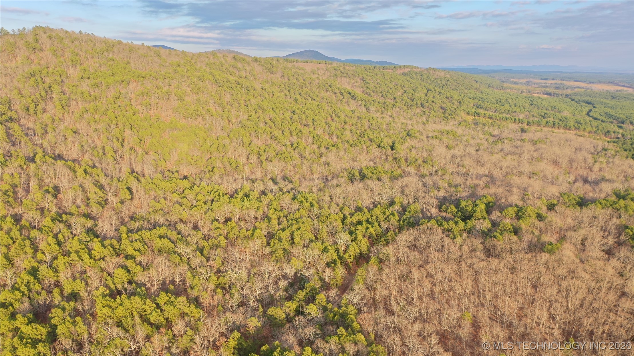 Marsh Loop Loop Property Photo 4