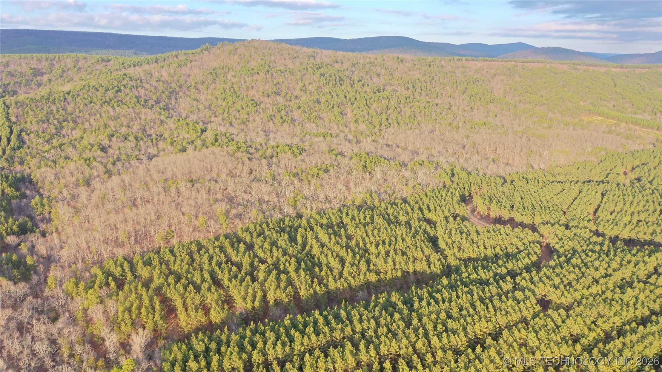 Marsh Loop Loop Property Photo 10