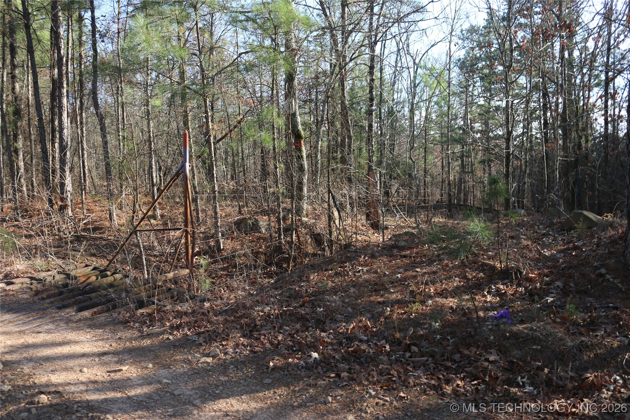 Marsh Loop Loop Property Photo 11