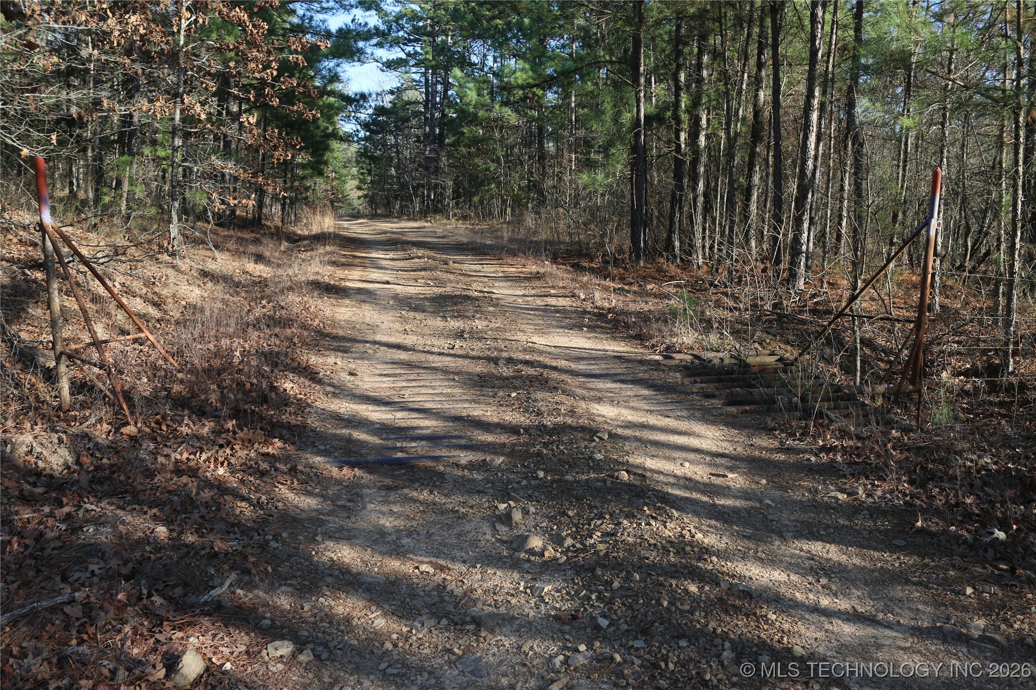 Marsh Loop Loop Property Photo 12