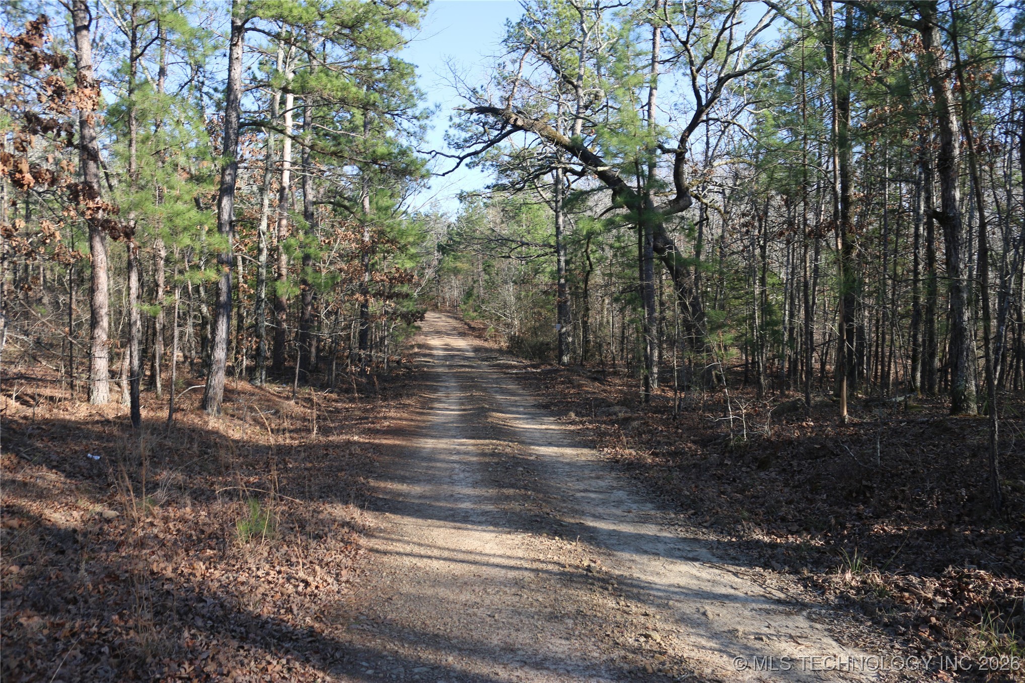 Marsh Loop Loop Property Photo 14