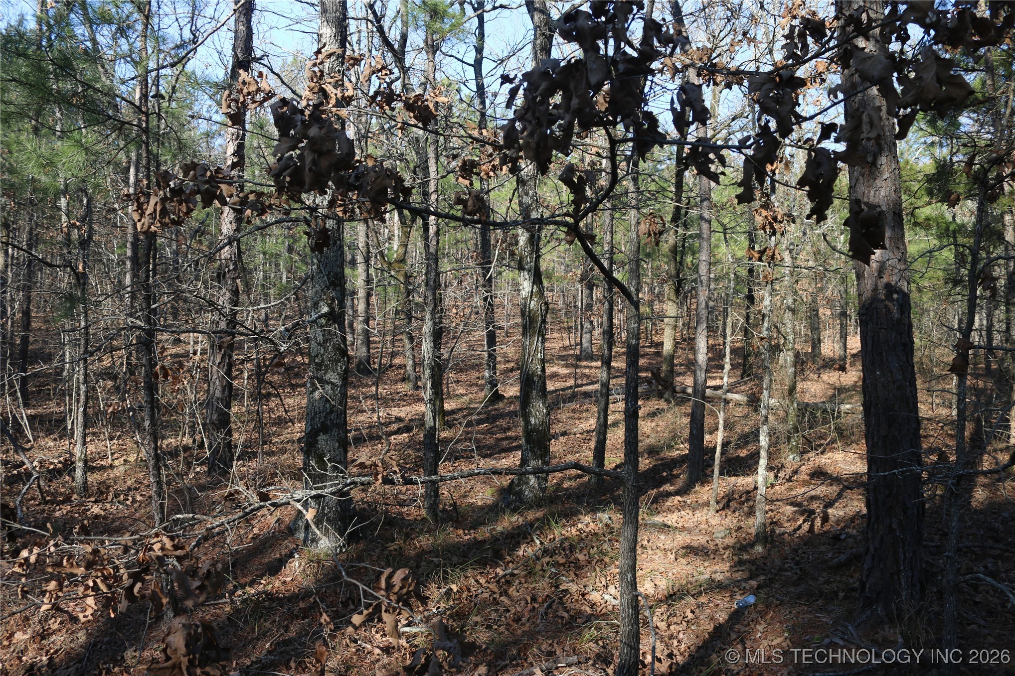 Marsh Loop Loop Property Photo 15